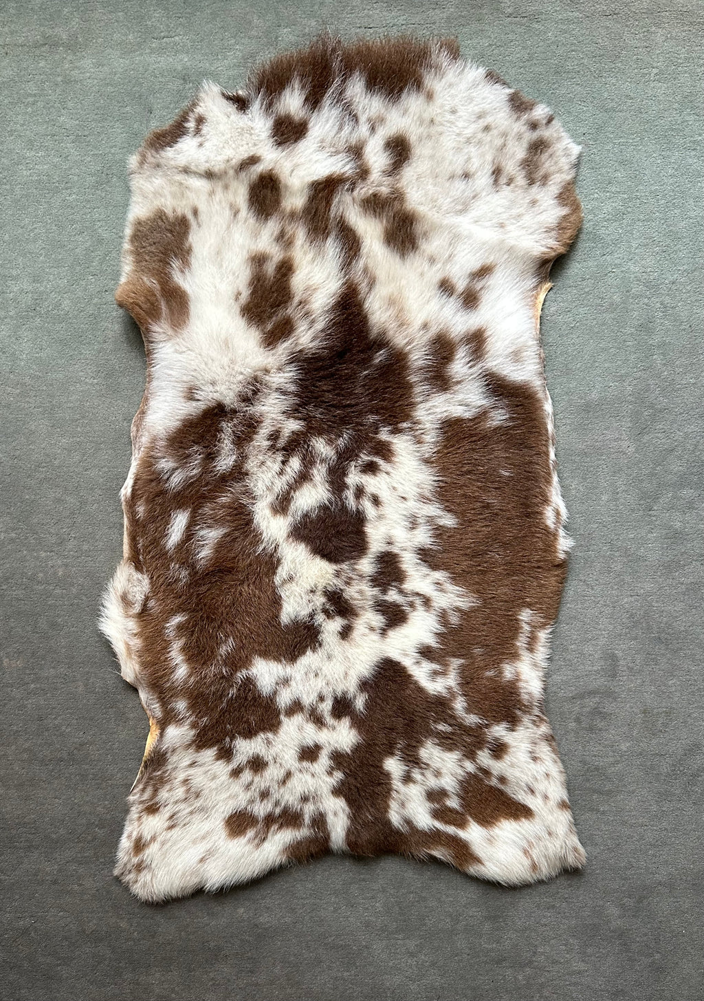 Katahdin Lambskin #222