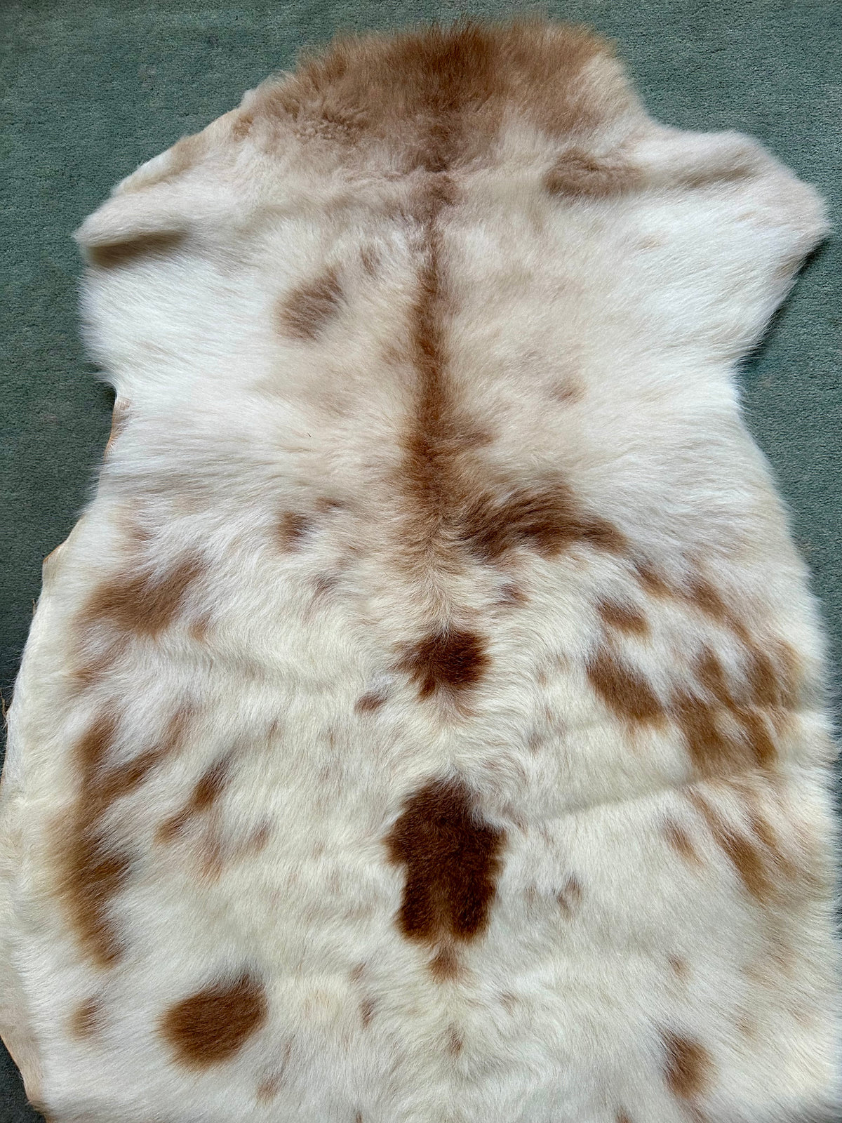 Katahdin Lambskin #213