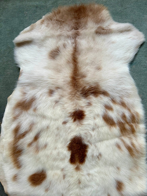 Katahdin Lambskin #213
