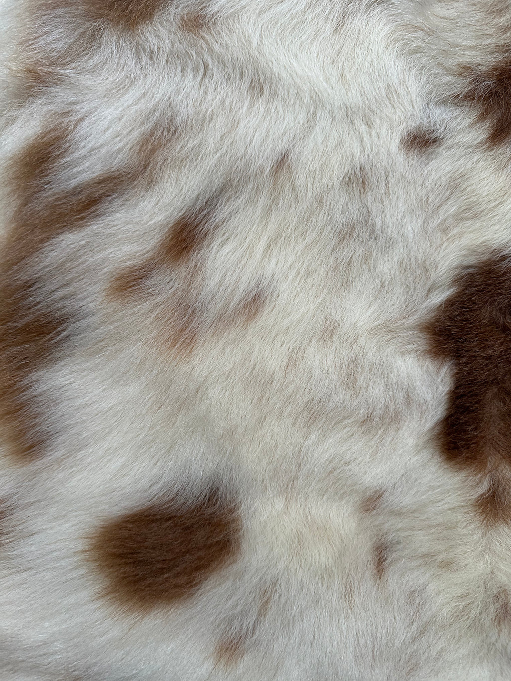 Katahdin Lambskin #213