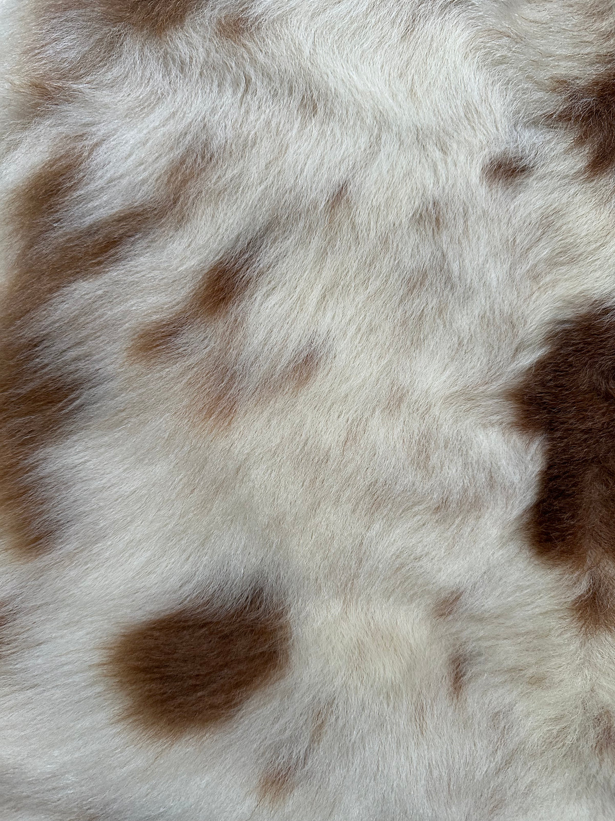 Katahdin Lambskin #213