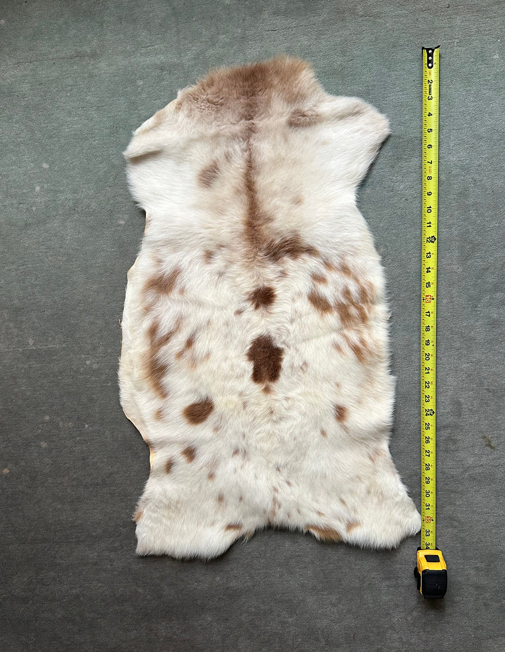 Katahdin Lambskin #213