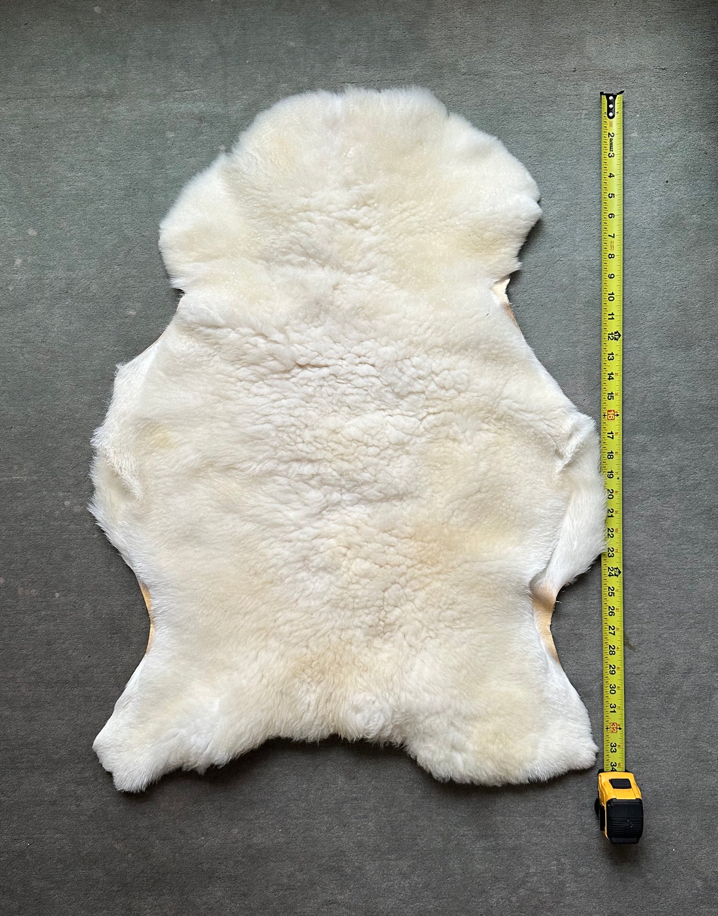 White Dorper Lambskin #281
