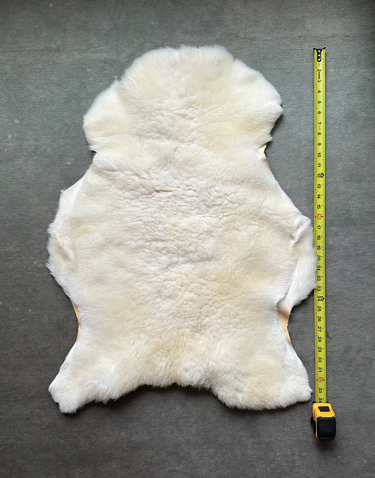 White Dorper Lambskin #281